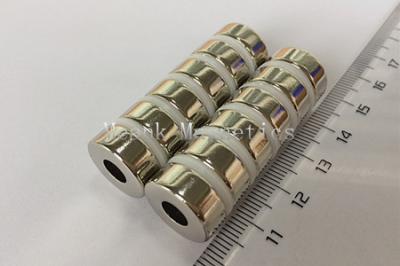 D15xd6x6mm Neodym Rundringe