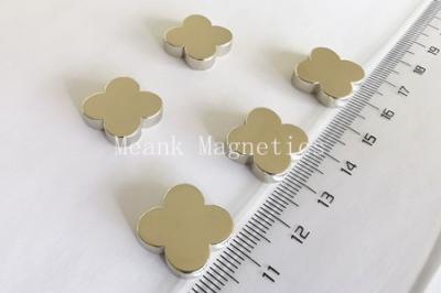 BlumenNeodym Magnete